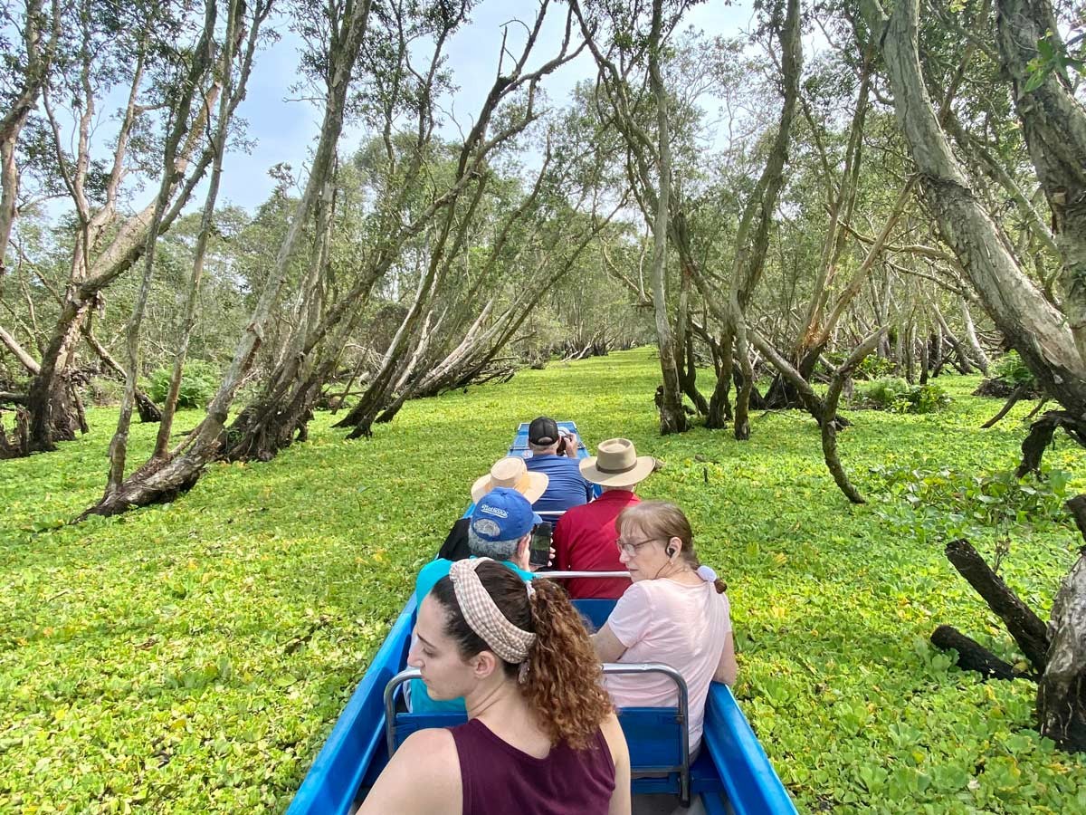 Tra Su Melaleuca Forest – The Fairytale Land Of Vietnam Tra Su Melaleuca Forest – The Fairytale Land Of Vietnam