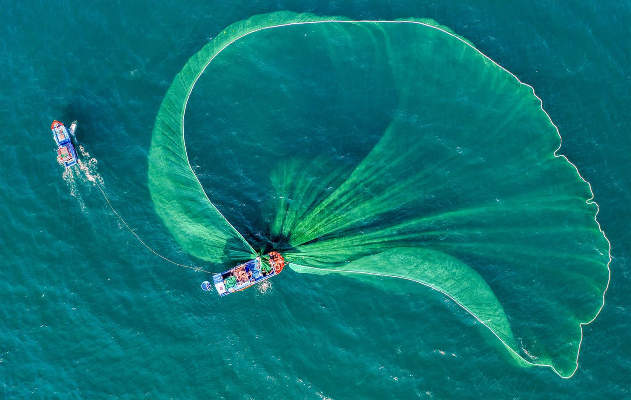 Vietnamese Photographer Wins First Prize In Global Contest Vietnamese Photographer Wins First Prize In Global Contest