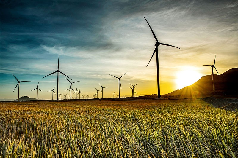 What Is The Largest Wind Power Plant In Vietnam? What Is The Largest Wind Power Plant In Vietnam?