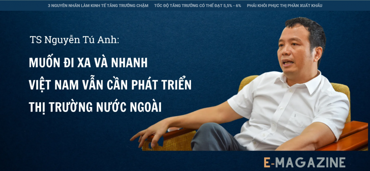 TS Nguyễn Tú Anh: Muốn đi xa và nhanh Việt Nam vẫn cần phát triển thị trường nước ngoài TS Nguyễn Tú Anh: Muốn đi xa và nhanh Việt Nam vẫn cần phát triển thị trường nước ngoài