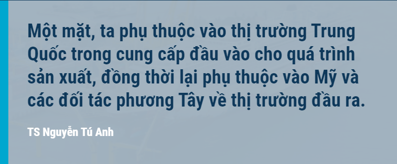 TS Nguyễn Tú Anh: Muốn đi xa và nhanh Việt Nam vẫn cần phát triển thị trường nước ngoài TS Nguyễn Tú Anh: Muốn đi xa và nhanh Việt Nam vẫn cần phát triển thị trường nước ngoài