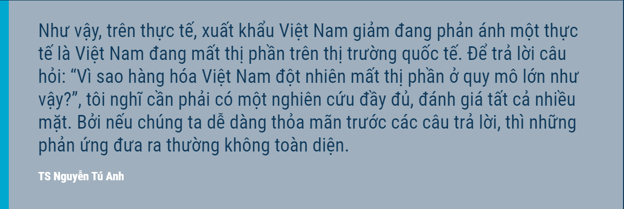 TS Nguyễn Tú Anh: Muốn đi xa và nhanh Việt Nam vẫn cần phát triển thị trường nước ngoài TS Nguyễn Tú Anh: Muốn đi xa và nhanh Việt Nam vẫn cần phát triển thị trường nước ngoài