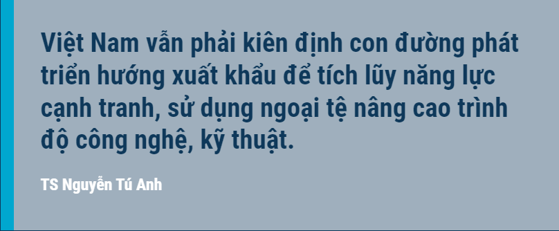 TS Nguyễn Tú Anh: Muốn đi xa và nhanh Việt Nam vẫn cần phát triển thị trường nước ngoài TS Nguyễn Tú Anh: Muốn đi xa và nhanh Việt Nam vẫn cần phát triển thị trường nước ngoài