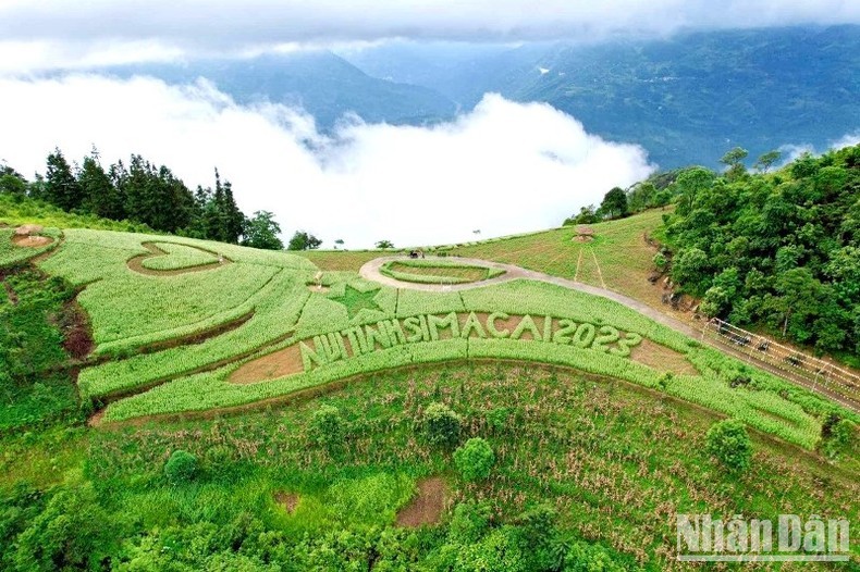 Đồi tam giác mạch trắng của gia đình anh Cư Seo Trô, ở Phố Thầu, Si Ma Cai là điểm đến ưa thích của du khách kỳ nghỉ lễ 2/9. (Ảnh: ĐÌNH NAM) Đồi tam giác mạch trắng của gia đình anh Cư Seo Trô, ở Phố Thầu, Si Ma Cai là điểm đến ưa thích của du khách kỳ nghỉ lễ 2/9. (Ảnh: ĐÌNH NAM)