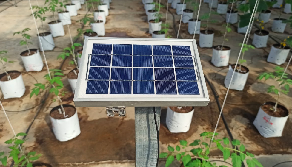 Doanh nghiệp Israel chia sẻ các giải pháp công nghệ trong lĩnh vực nông nghiệp cho tỉnh Gia Lai Doanh nghiệp Israel chia sẻ các giải pháp công nghệ trong lĩnh vực nông nghiệp cho tỉnh Gia Lai