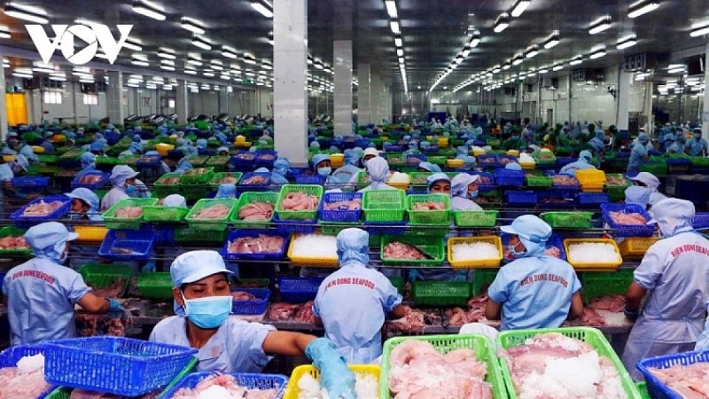 Tròn 60 năm quan hệ Việt Nam- Ai Cập: Mục tiêu thương mại 1 tỉ USD trong tầm tay Tròn 60 năm quan hệ Việt Nam- Ai Cập: Mục tiêu thương mại 1 tỉ USD trong tầm tay