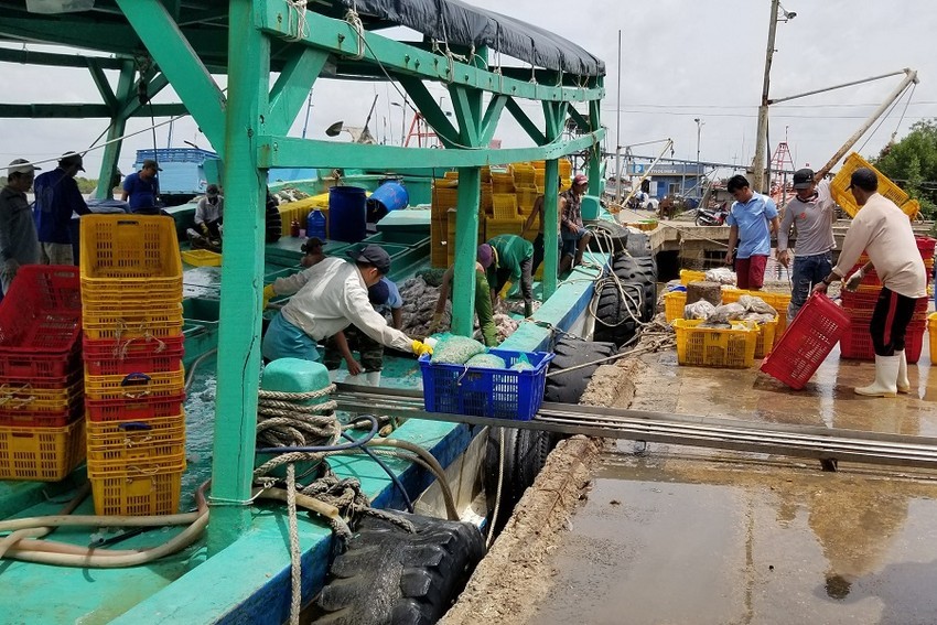 Lao động nghề cá ở cửa biển Gành Hào, Đông Hải, Bạc Liêu. Ảnh: TRẦN VŨ Lao động nghề cá ở cửa biển Gành Hào, Đông Hải, Bạc Liêu. Ảnh: TRẦN VŨ