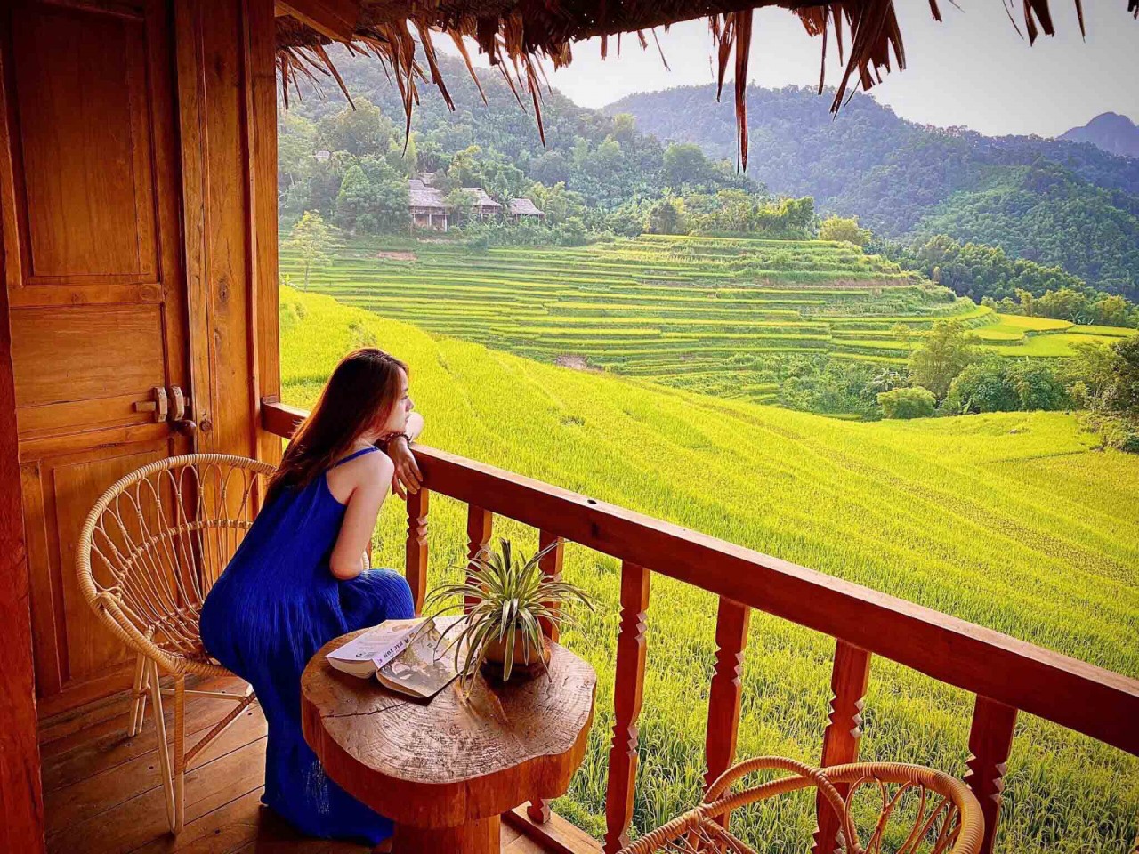 Best Places To See The Riped Rice Season In Vietnam Best Places To See The Ripening Rice Season In Vietnam