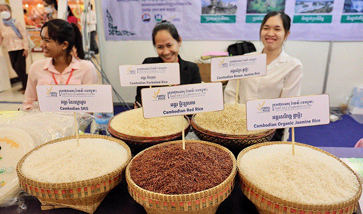 Xuất khẩu gạo đóng góp khoảng 12% GDP d Xuất khẩu gạo đóng góp khoảng 12% GDP d