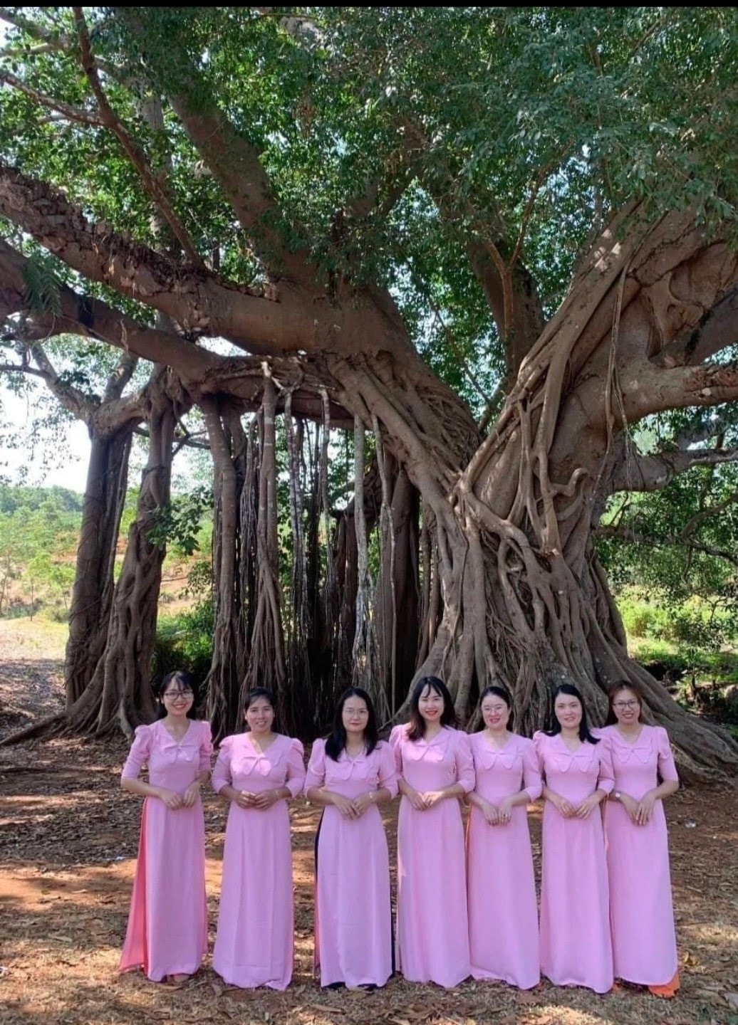 The 200-Year-Old Banyan Tree Unites The Jrai People The 200-Year-Old Banyan Tree Unites The Jrai People