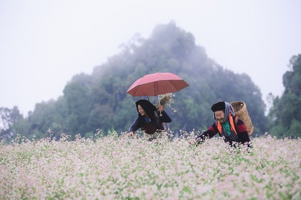 Vietnam's Ha Giang Province is Asia's Leading Emerging Destination Vietnam's Ha Giang Province is Asia's Leading Emerging Destination