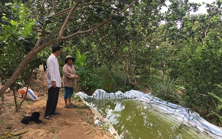 Nông dân ở xã Quới Thiện huyện Vũng Liêm Vĩnh Long làm hồ chứa nước bằng tấm bạt ni lông để trữ nước ngọt (Ảnh: Nông dân ở xã Quới Thiện huyện Vũng Liêm Vĩnh Long làm hồ chứa nước bằng tấm bạt ni lông để trữ nước ngọt (Ảnh: