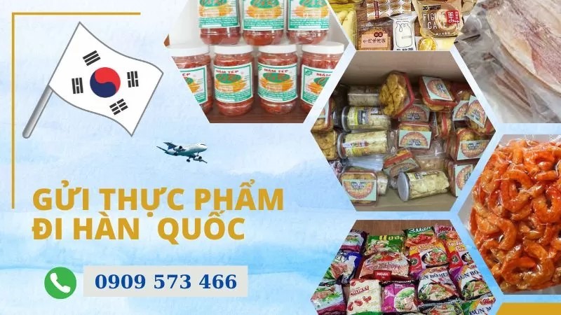 VHE nhận gửi đa dạng các mặt hàng đi Hàn Quốc . VHE nhận gửi đa dạng các mặt hàng đi Hàn Quốc .