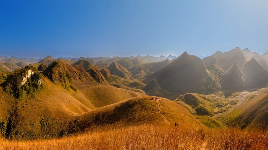The Charming Beauty Of Vinh Quy Grass Hill The Charming Beauty Of Vinh Quy Grass Hill