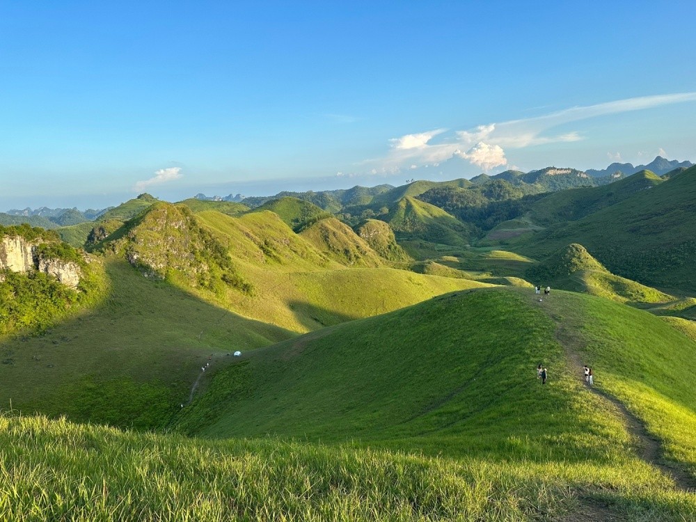 The Charming Beauty Of Vinh Quy Grass Hill The Charming Beauty Of Vinh Quy Grass Hill