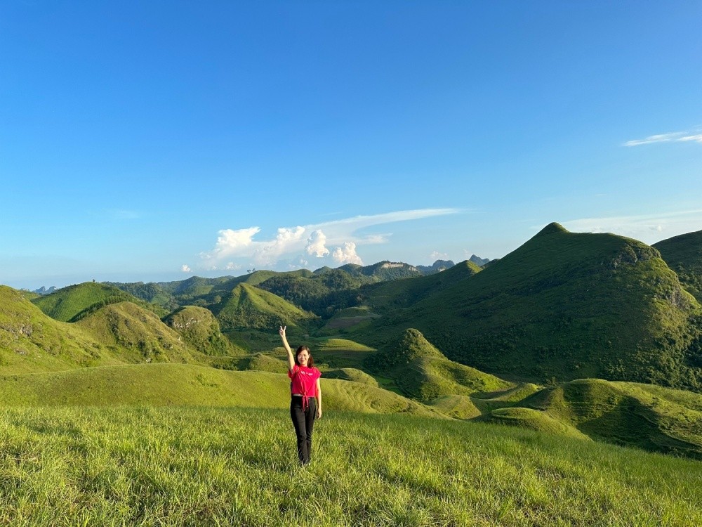 The Charming Beauty Of Vinh Quy Grass Hill The Charming Beauty Of Vinh Quy Grass Hill