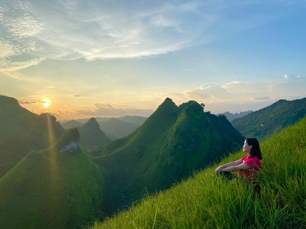 The Charming Beauty Of Vinh Quy Grass Hill The Charming Beauty Of Vinh Quy Grass Hill