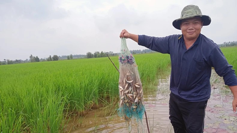 Mưu sinh trong mùa nước nổi Mưu sinh trong mùa nước nổi