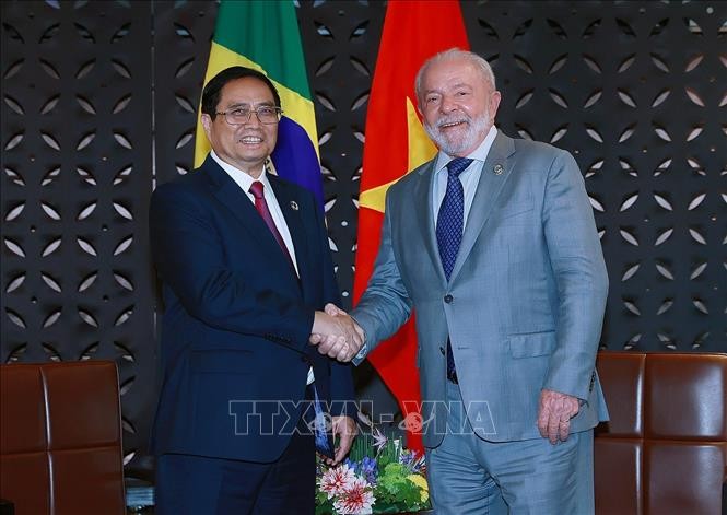 Triển vọng hợp tác trên nhiều lĩnh vực trong quan hệ giữa Việt Nam và Brazil Triển vọng hợp tác trên nhiều lĩnh vực trong quan hệ giữa Việt Nam và Brazil