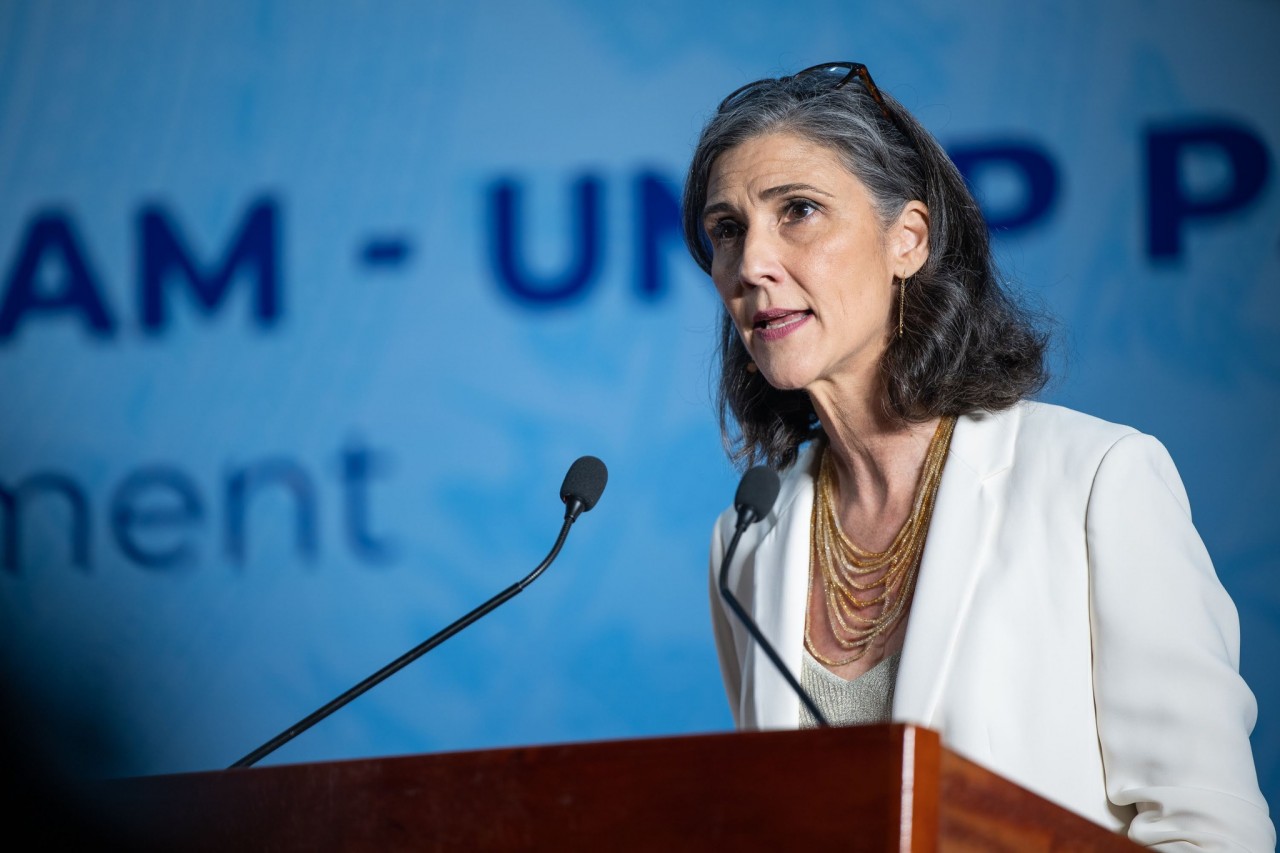 Đại diện UNDP: Việt Nam sẽ được hưởng lợi từ việc thành lập ngân hàng Năng lượng quốc gia Đại diện UNDP: Việt Nam sẽ được hưởng lợi từ việc thành lập ngân hàng Năng lượng quốc gia
