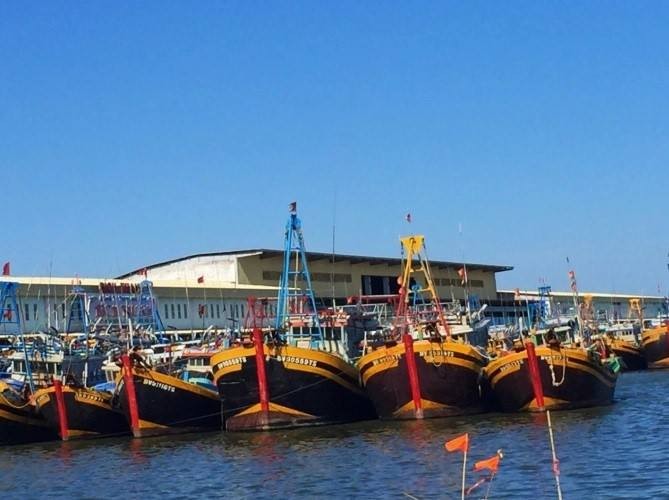 Bình Thuận: 100% tàu cá lắp đặt thiết bị giám sát hành trình Bình Thuận: 100% tàu cá lắp đặt thiết bị giám sát hành trình