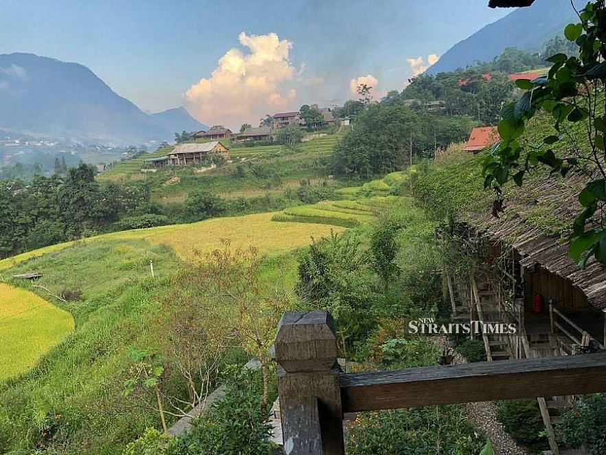 Rice fields of Sapa Valley in Northern Vietnam. Rice fields of Sapa Valley in Northern Vietnam.