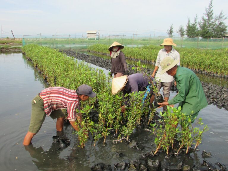 289654603_2513357282152732_9056373605802622887_n-768x576-3-1-1-2-1-1-1 - Vietnam.vn