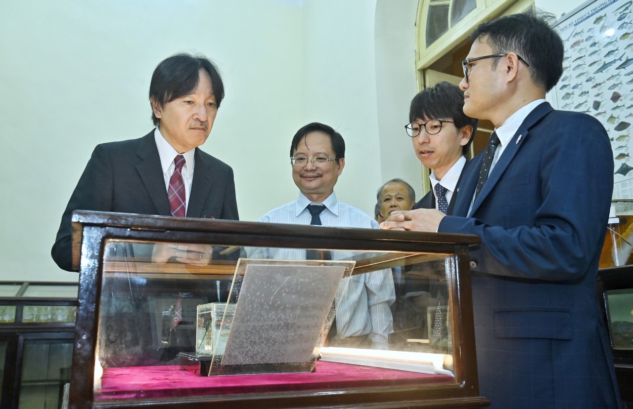 Japanese Crown Prince Wants to Make Efforts for Close Relations with Vietnam Japanese Crown Prince Wants to Make Efforts for Close Relations with Vietnam