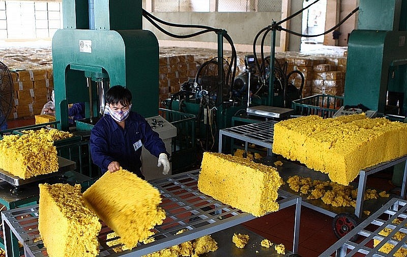 Vietnam is among largest rubber suppliers to Japan (Photo: congthuong.vn) Vietnam is among largest rubber suppliers to Japan (Photo: congthuong.vn)