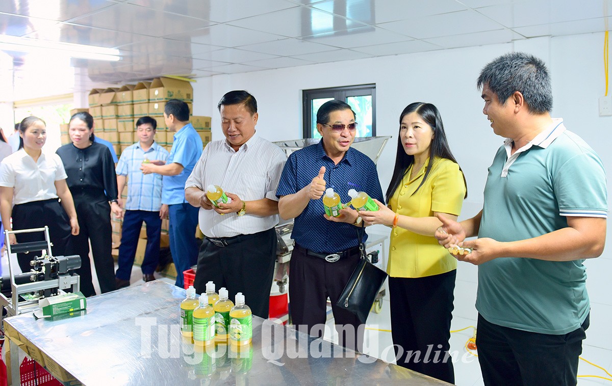 Đoàn công tác tỉnh Xiêng Khoảng tham quan xưởng sản xuất tại HTX Nông nghiệp công nghệ cao Việt Bắc ở phường Đội Cấn (TP Tuyên Quang). (Ảnh: Báo Tuyên Quang) Đoàn công tác tỉnh Xiêng Khoảng tham quan xưởng sản xuất tại HTX Nông nghiệp công nghệ cao Việt Bắc ở phường Đội Cấn (TP Tuyên Quang). (Ảnh: Báo Tuyên Quang)