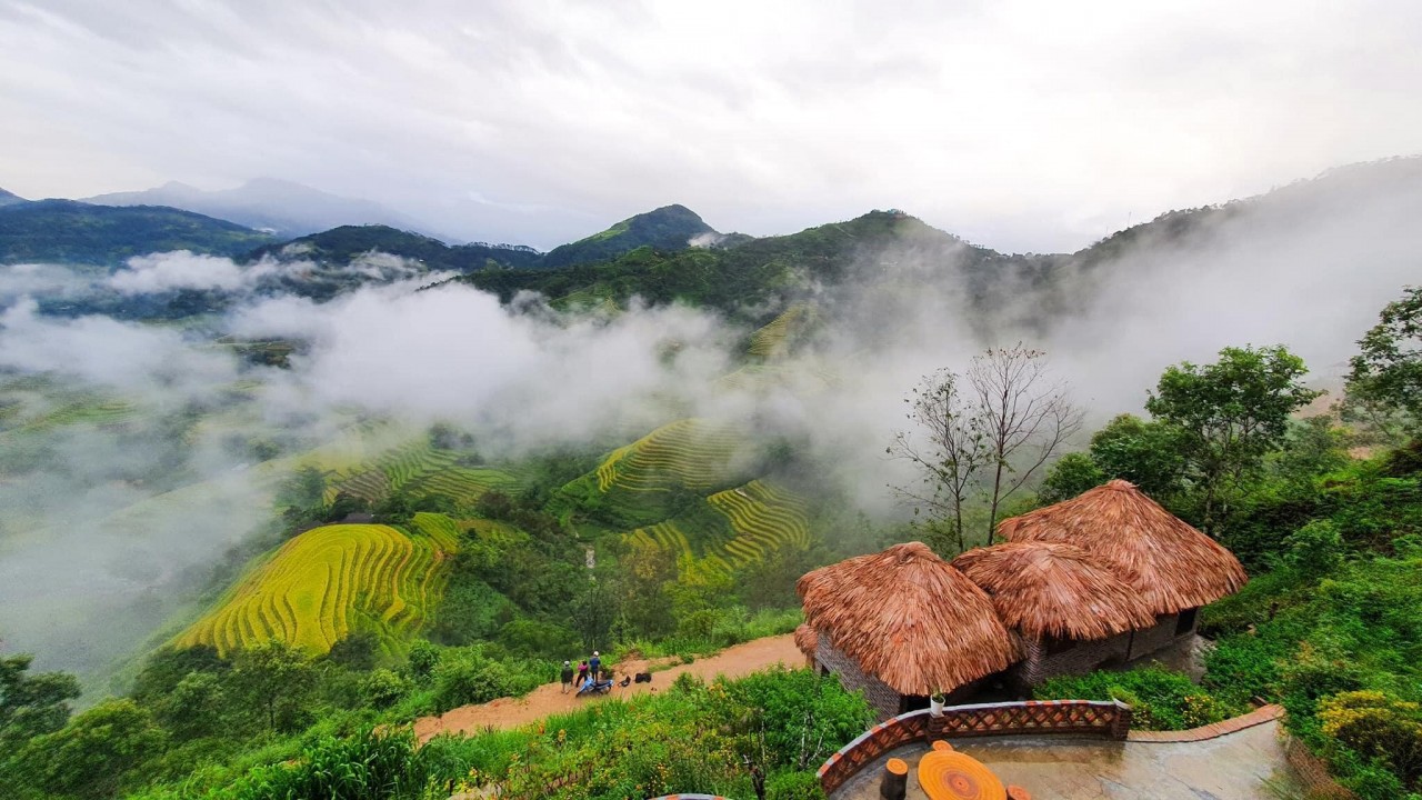 Explore The Beautiful Ripening Rice Season In Hoang Su Phi Explore The Beautiful Ripening Rice Season In Hoang Su Phi