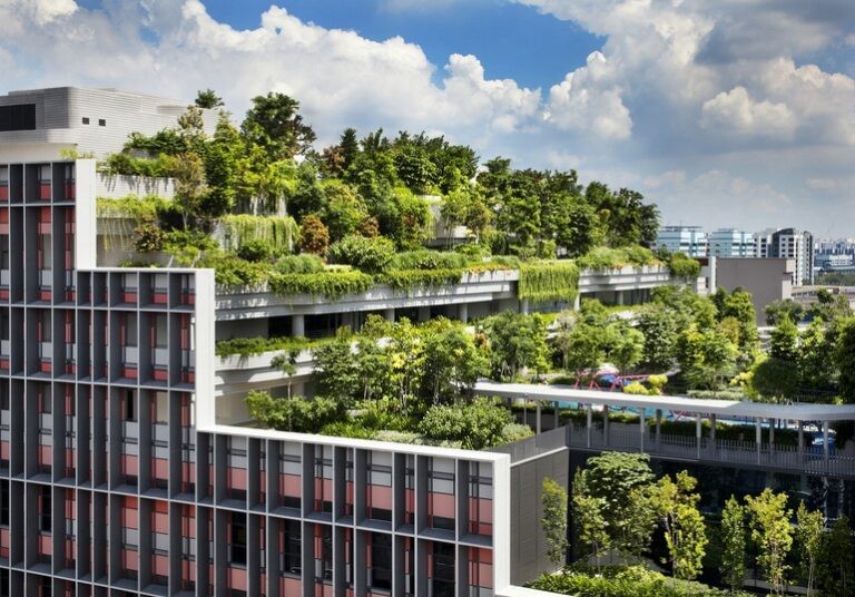 Công trình Ventus Naturalized Garden Vườn thiên nhiên Ventus thuộc khuôn viên của Đại học Quốc gia Singapore. (Ảnh: archdaily) Công trình Ventus Naturalized Garden Vườn thiên nhiên Ventus thuộc khuôn viên của Đại học Quốc gia Singapore. (Ảnh: archdaily)