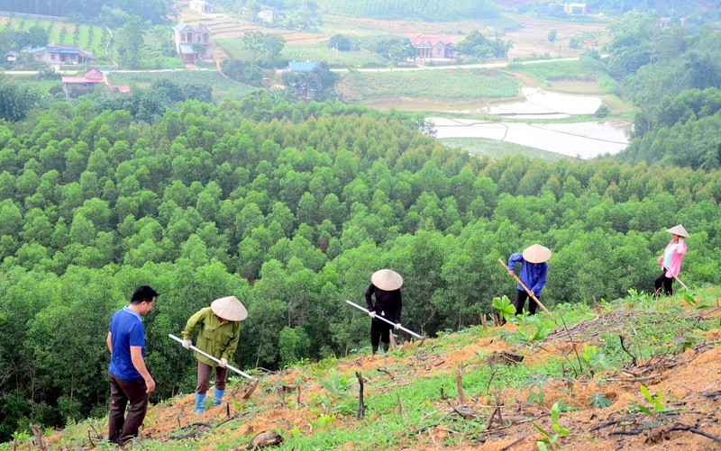 Việt Nam đang tích cực thực hiện đề án Trồng 1 tỷ cây xanh. (Ảnh: Báo Tuyên Quang) Việt Nam đang tích cực thực hiện đề án Trồng 1 tỷ cây xanh. (Ảnh: Báo Tuyên Quang)