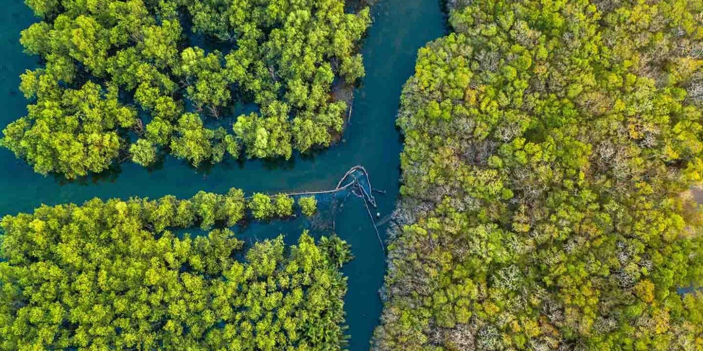 Việt Nam đang xây dựng thị trường tín chỉ carbon. (Ảnh: Thesaigontimes) Việt Nam đang xây dựng thị trường tín chỉ carbon. (Ảnh: Thesaigontimes)