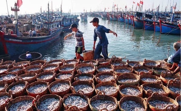 Efforts RedoubleD towards Removal of EC's “Yellow Card” on IUU Fishing Efforts RedoubleD towards Removal of EC's “Yellow Card” on IUU Fishing