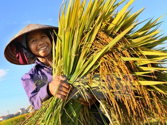 Cao Bằng cải thiện điều kiện sống thông qua tăng cường năng lực cho cộng đồng nông thôn BfdW và Misereor: góp phần giảm trên 17 % tỷ lệ hộ nghèo xã Dân Chủ (Cao Bằng)