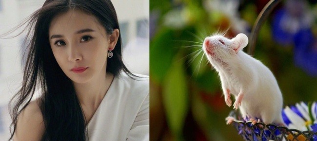 Cách giúp 12 con giáp đổi vận trong tháng 10/2023: Dữ hóa lành chỉ với những điều đơn giản Cách giúp 12 con giáp đổi vận trong tháng 10/2023: Dữ hóa lành chỉ với những điều đơn giản