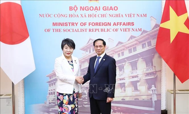 Tiếp tục thúc đẩy làm sâu sắc quan hệ Đối tác chiến lược sâu rộng Việt Nam - Nhật Bản Tiếp tục thúc đẩy làm sâu sắc quan hệ Đối tác chiến lược sâu rộng Việt Nam - Nhật Bản