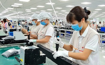 Các doanh nghiệp châu Âu quan tâm đến nhiều lĩnh vực đầu tư tại Việt Nam