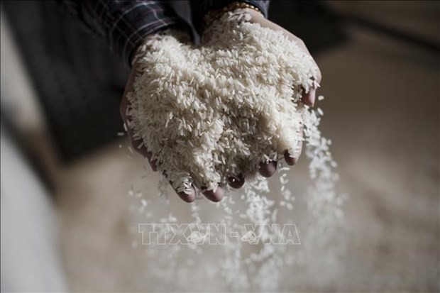 Indonesia Selects Vietnam as Major Source for Rice Indonesia Selects Vietnam as Major Source for Rice