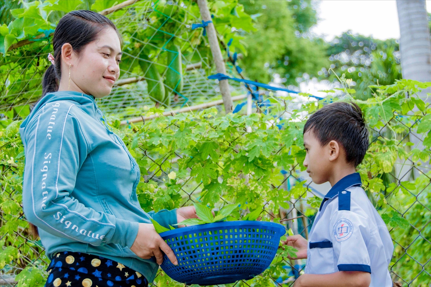 Tiên Phát Lai Em (sinh năm 2016) con trai chị Hoan được nhận học bổng “ Nâng bước em đến Trường” Tiên Phát Lai Em (sinh năm 2016) con trai chị Hoan được nhận học bổng “ Nâng bước em đến Trường”