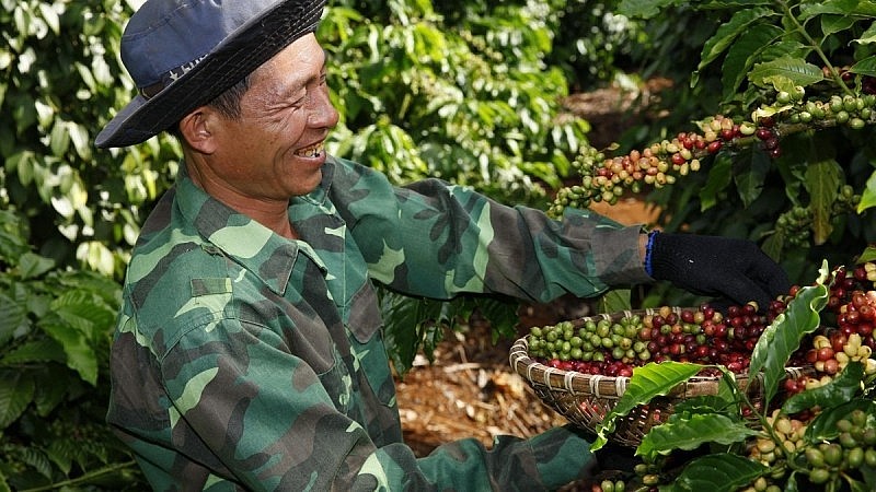Leveraging EVFTA to Boost Coffee Export Growth Leveraging EVFTA to Boost Coffee Export Growth