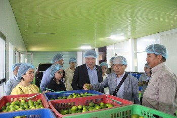 Long An muốn thu hút vốn đầu tư của Hàn Quốc vào lĩnh vực công nghệ cao