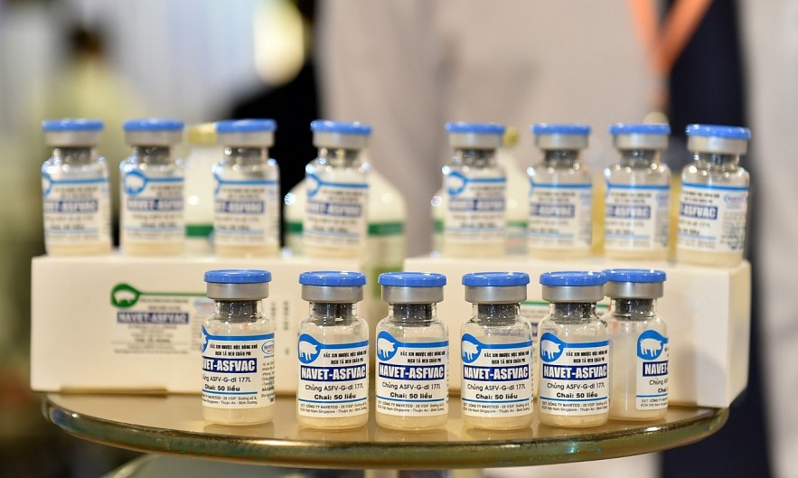 Made-in-Viet Nam African swine fever (ASF) vaccines
