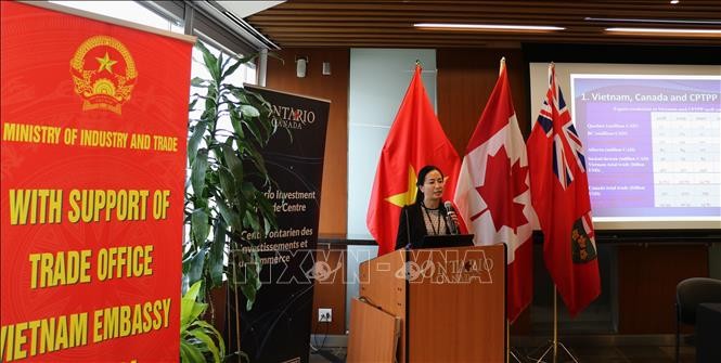 Việt Nam giữ vị trí quan trọng trong Chiến lược Ấn Độ Dương-Thái Bình Dương của Canada Việt Nam giữ vị trí quan trọng trong Chiến lược Ấn Độ Dương-Thái Bình Dương của Canada