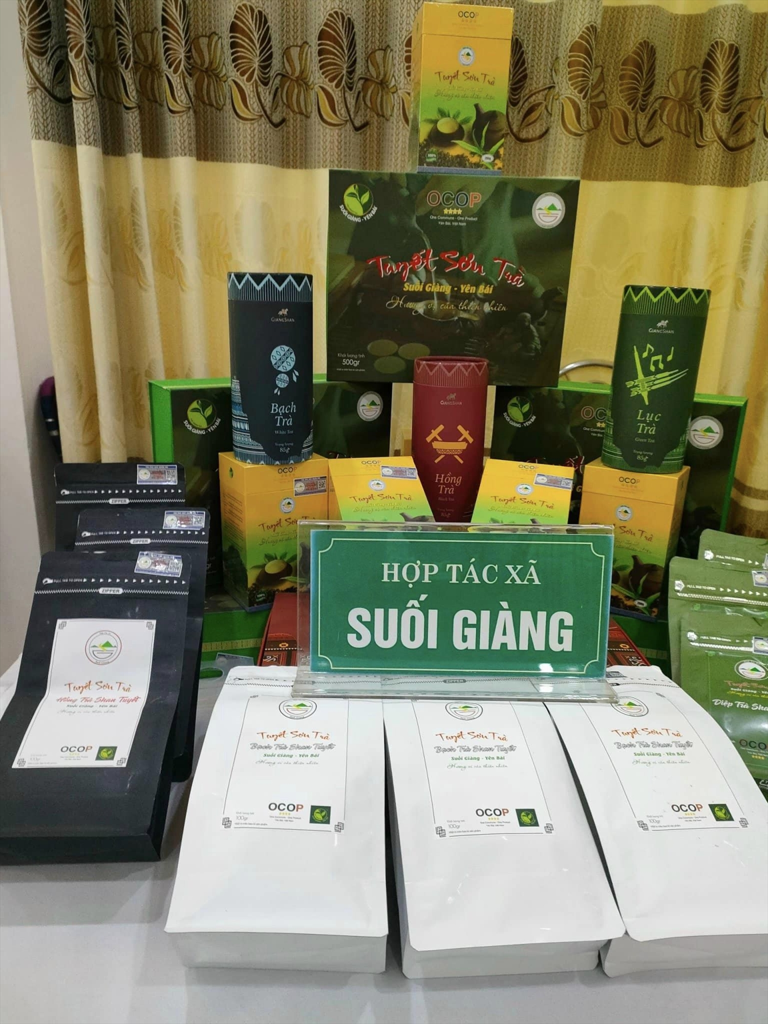 Sản phẩm trà Shan tuyết Suối Giàng