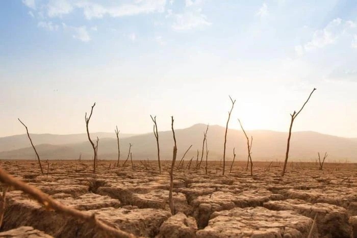 WMO: El Nino sẽ kéo dài đến ít nhất tháng 4/2024 WMO: El Nino sẽ kéo dài đến ít nhất tháng 4/2024