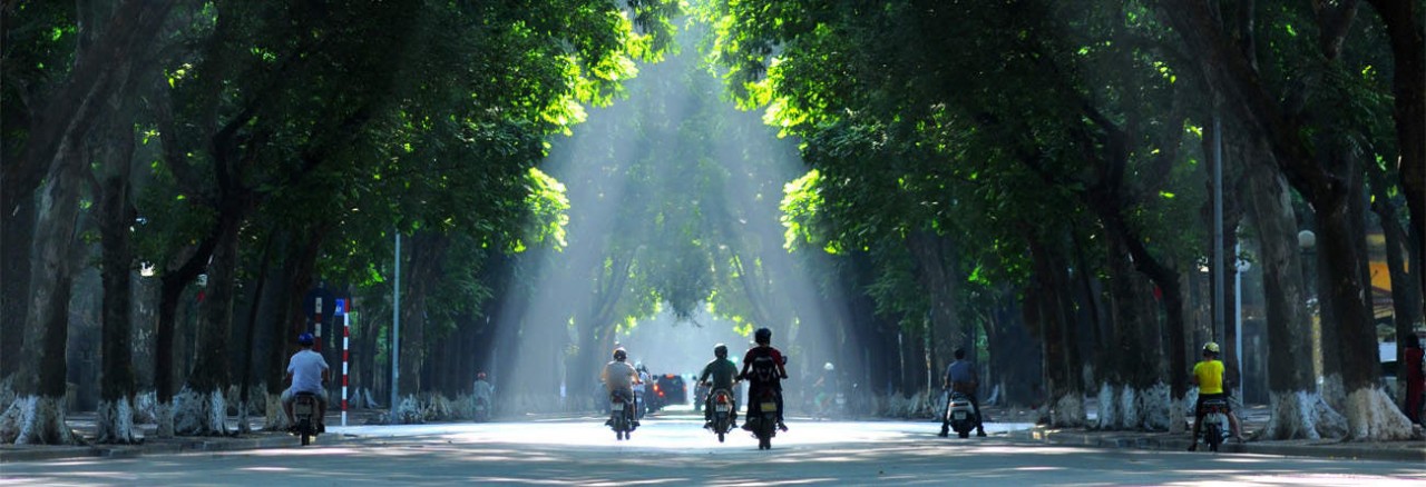 Vietnam’s Weather Forecast (November 11): Sunny Day In The Northern Region Vietnam’s Weather Forecast (November 11): Sunny Day In The Northern Region