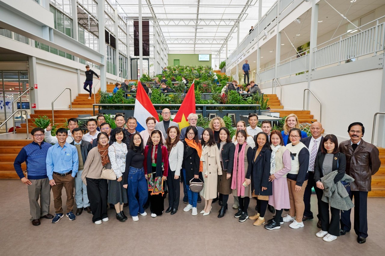 New Lily Variety Unveiled to Mark 50 Years of Vietnam-Netherlands Relations New Lily Variety Unveiled to Mark 50 Years of Vietnam-Netherlands Relations