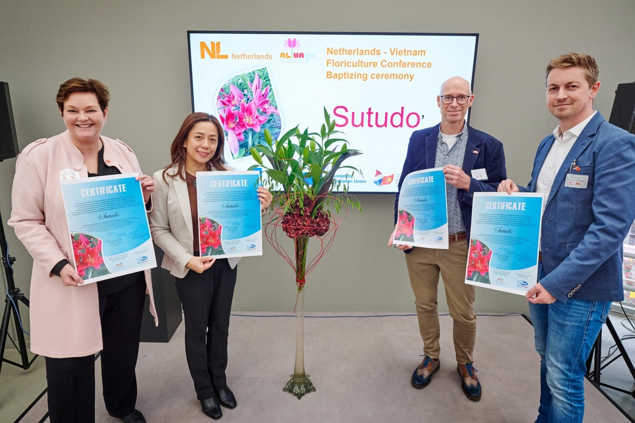 New Lily Variety Unveiled to Mark 50 Years of Vietnam-Netherlands Relations New Lily Variety Unveiled to Mark 50 Years of Vietnam-Netherlands Relations